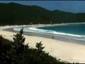 Culebra Forever, Costa bonita