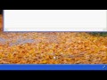 How to make your computer faster (Registry tweak)