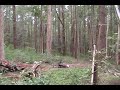 Insane%20Mountain%20Bike%20Crash