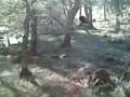 videos de Alena a Klara.3gp