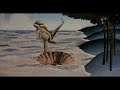 Dancing, senseless monthy python clip - Boticelli\ Dancing, senseless monthy python clip - Boticelli\