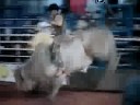 Reuel Amaro vs Globo da Morte