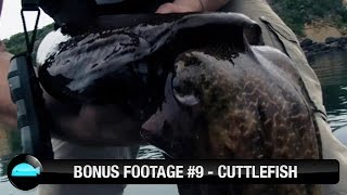 Catching Cuttlefish In Port Phillip Bay | Rapala Ikado Squid Jig