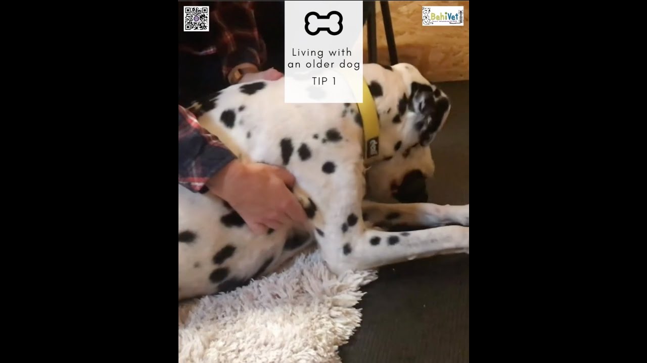 TIP 1 - Osteopathy against pain & for strengthening the muscles