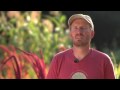Grow Bio Intensive Gardening Methods
