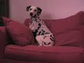 027: Dottie\ 027: Dottie\