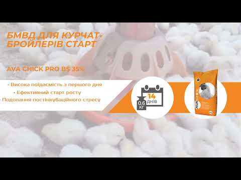 БМВД Финиш для бройлера AVA Chick PRO BF 35% - фото 1 - id-p1752894362