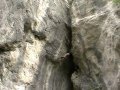 Video ansehen