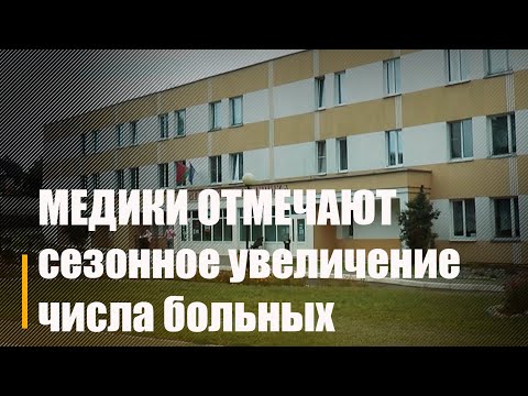 Медработниками отмечается сезонное увеличение числа больных ОРВ видео