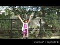 ????? Zilconia / myria?? ????? Zilconia / myria??