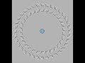Optical Illusion 1 - The Rotating Circles
