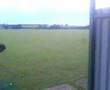 dib dab target prtice