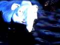 videos de 