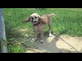Click here to watch this video 2012の初水遊び