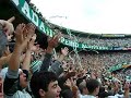Entrada em Campo + Camisão