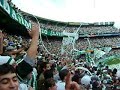 Entrada em Campo + Camisão