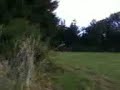 moi a cheval
