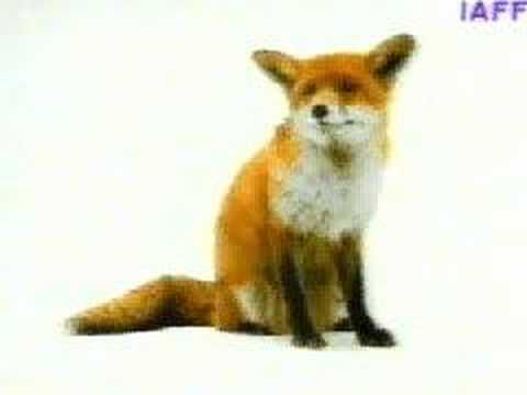 Zobacz film