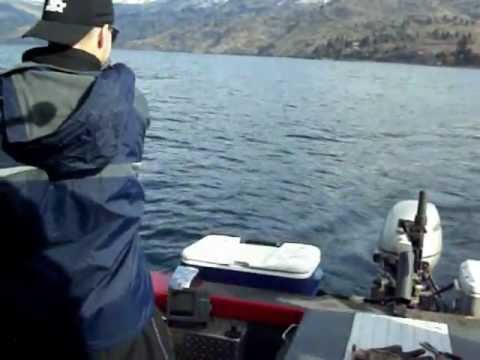 Lake Chelan-Battling a Big Laketrout and we Won! February 2012