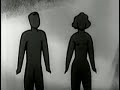 Your Body During Adolescence