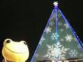 ＠ついー　ぴかっとるってよ？！(hey! the tree shines!!! what a gorgeous!)