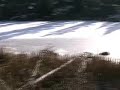 hunting with justin and dale 1/2