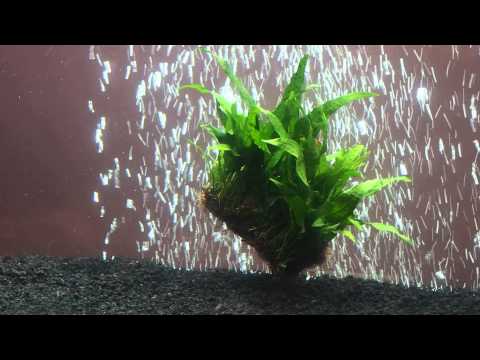 how to dye aquarium gravel