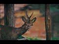 Turkey with Best Photos (En G�zel Foto?raflarla T�rkiye)