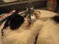Wet Pussy