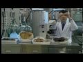 Japanese Researcher Creates Artificial Meat From Human Feces Japanese Researcher Creates Artificial Meat From Human Feces