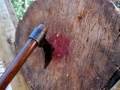 Axe Throwing (Hand Axe / Hawk)