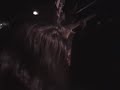 teledysk, klip, Aghora,- Transfiguration