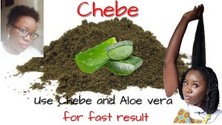 Fast hair growth tips using Chebe Powder & Alo