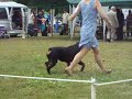 9-12 mo Female Rcc Specialty ~ Woodstock, On