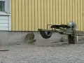 Jackrabbit vs. Crow Jackrabbit vs. Crow
