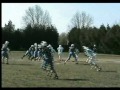 taureaux highlights