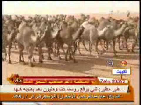 شيلة روق وبرقا مهنا العتيبي مزاين الهيلا www.5ymah.net