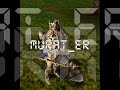 knight online japko