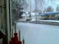 Herne im Winter