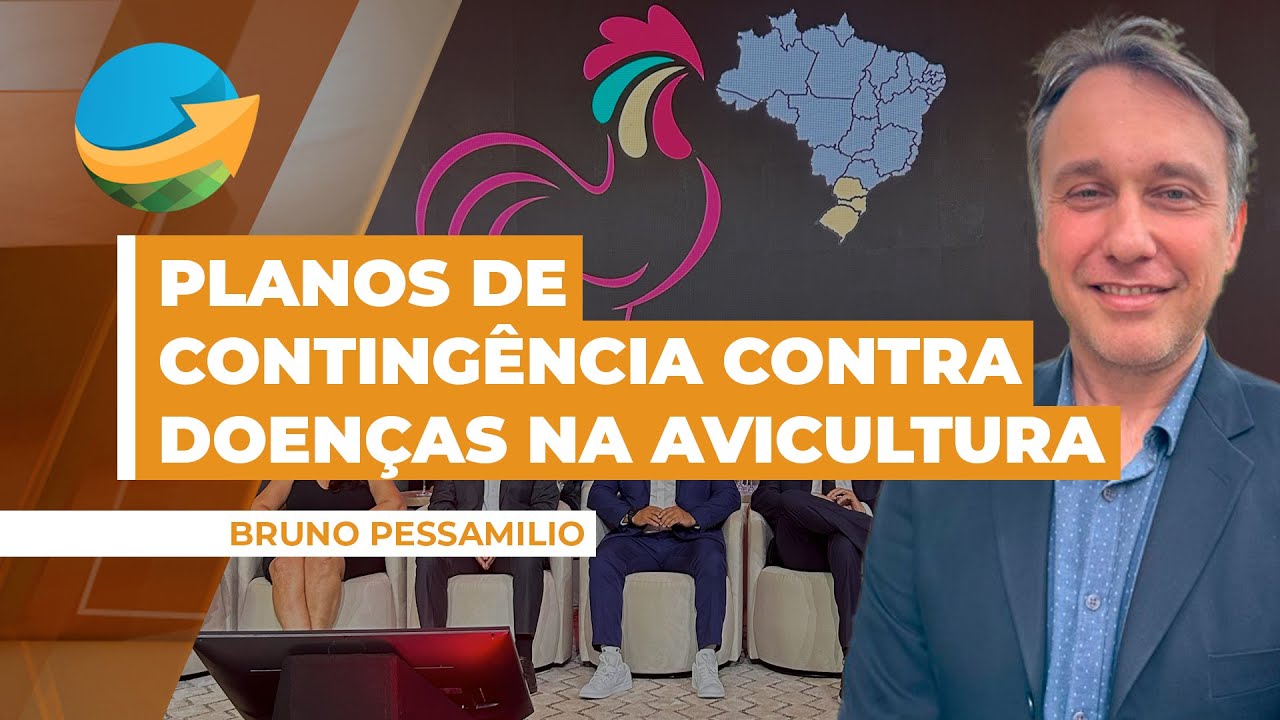 Planos de contingência na avicultura precisam ser tratados com a mesma importância que a prevençã...