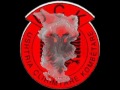 united albania