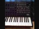 Synthorama - Synth Museum Walkthrough Pt. 4
