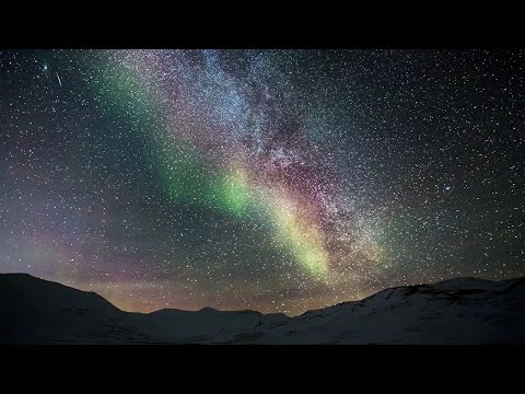 動画