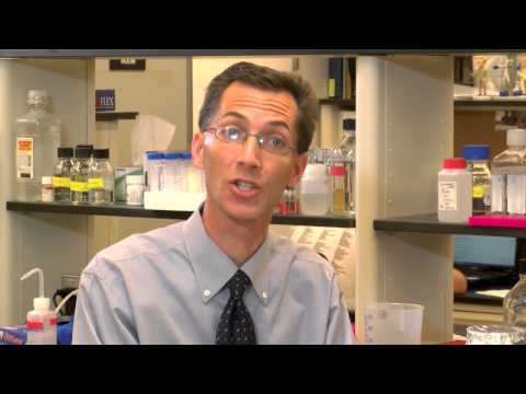 how to kill lung fungus