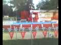 Pig Racing 1