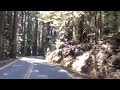 Avenue of the Giants Summer 2008 Avenue of the Giants Summer 2008