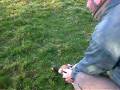 videos de Shelduck being released