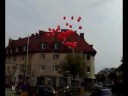 SPÖ-Wahlversprechen lernen fliegen SPÖ-Wahlversprechen lernen fliegen