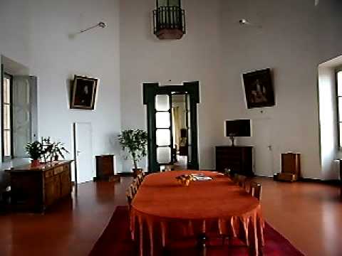 Immagine anteprima YouTube