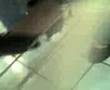 videos de zapato de flor